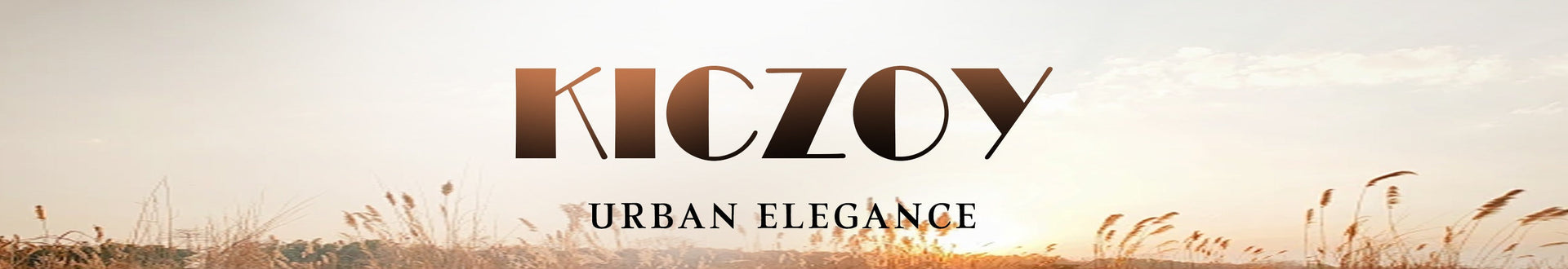 Shop banner